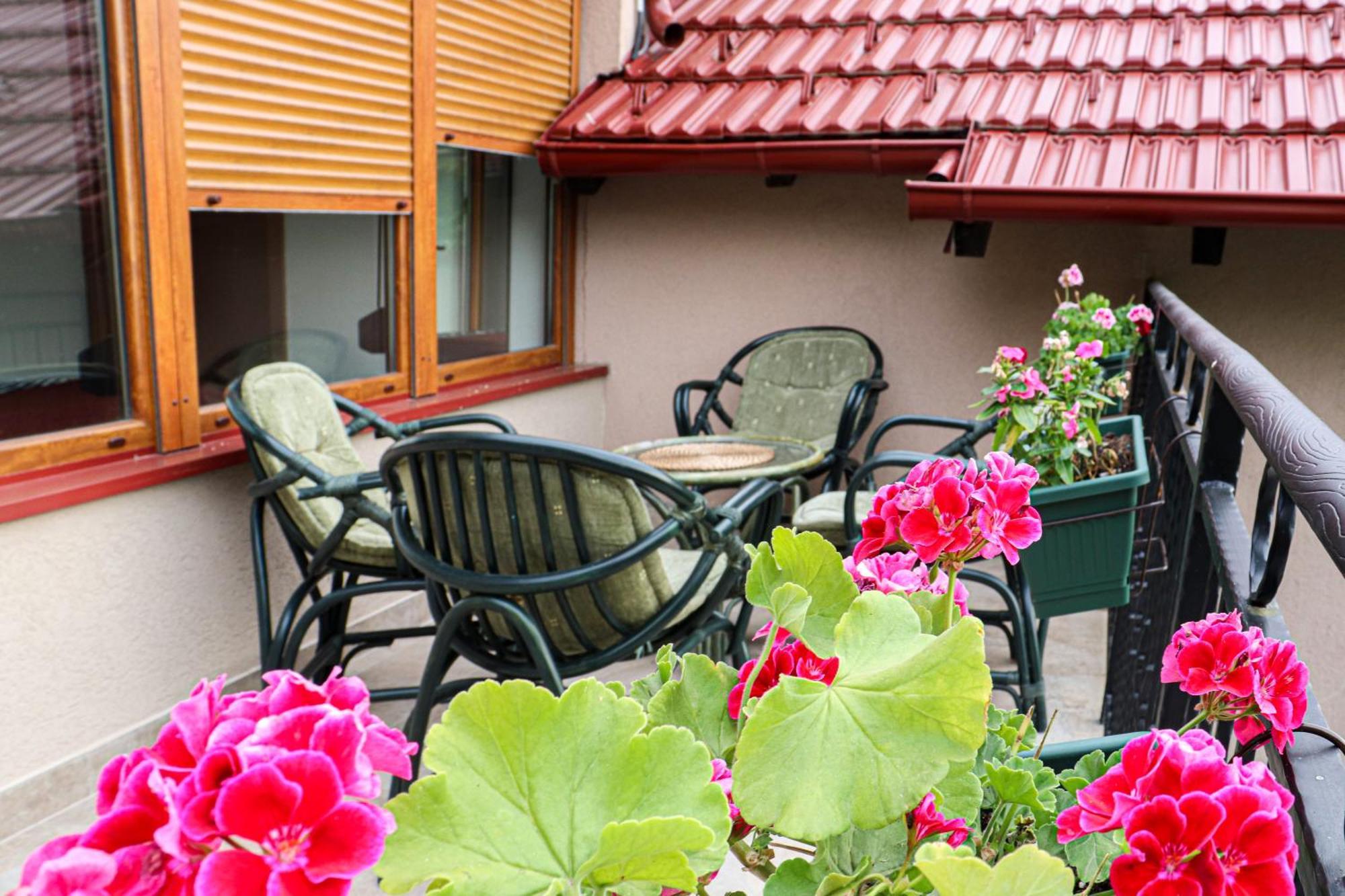 Sunset Home Vrsac Dış mekan fotoğraf