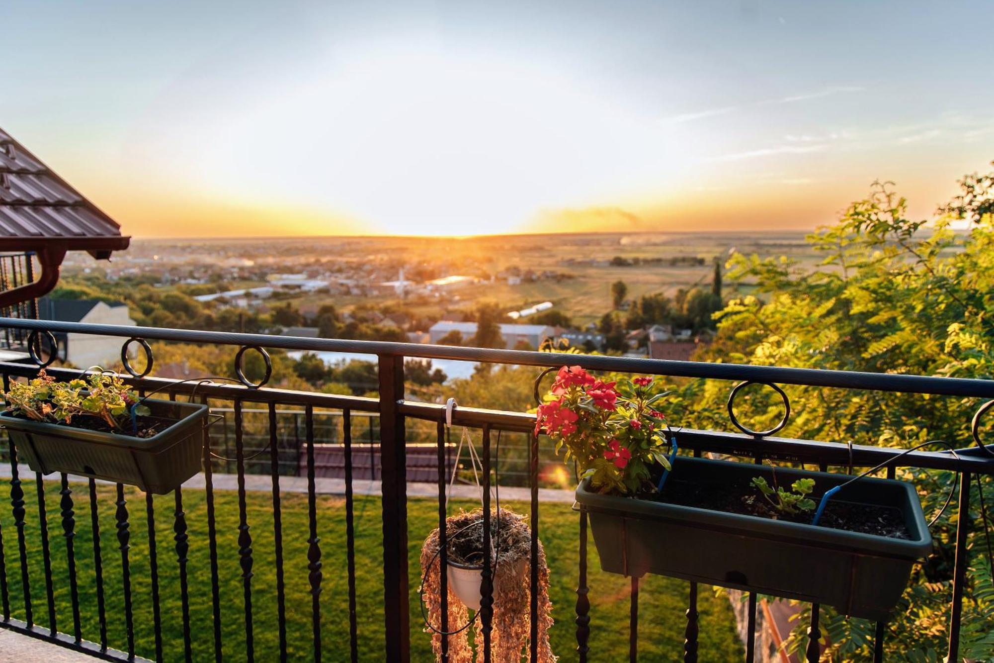 Sunset Home Vrsac Dış mekan fotoğraf